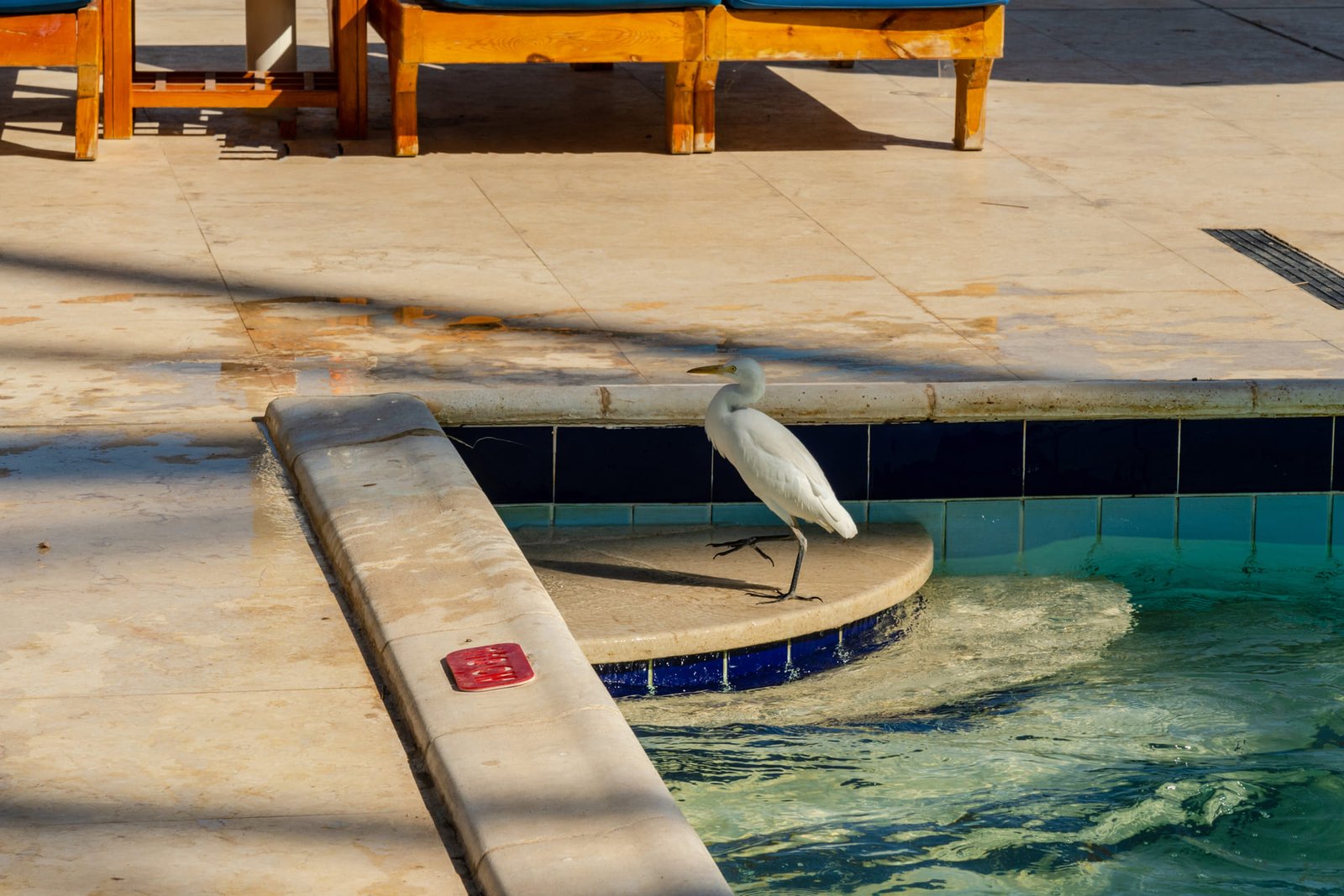 Florida Pool Resurfacing Permits and Regulations: What Homeowners Must Know | Golden Outdoor Solutions